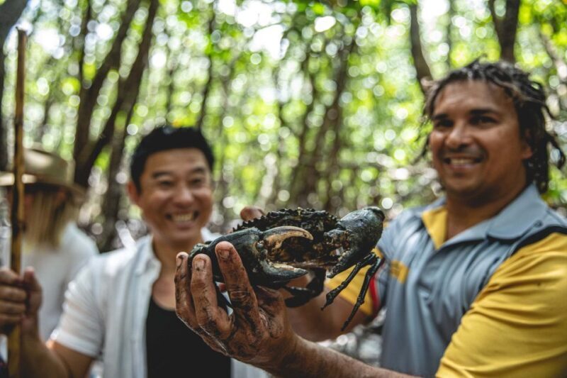 Port Douglas: Full Day Daintree Cultural Tour with Lunch - Key Points