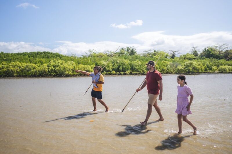 Port Douglas: Full Day Daintree Cultural Tour with Lunch - A Walk through the Rainforest with an Aboriginal Guide