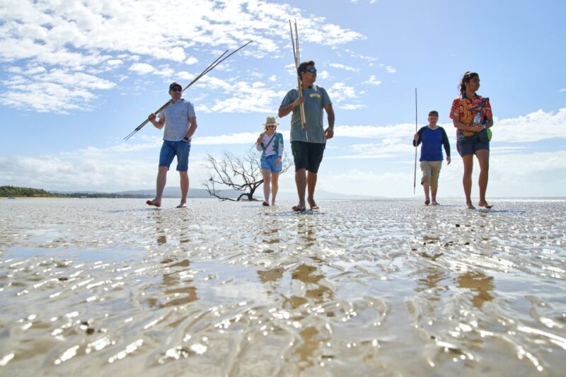 Port Douglas: Full Day Daintree Cultural Tour with Lunch - Who Should Consider This Tour?