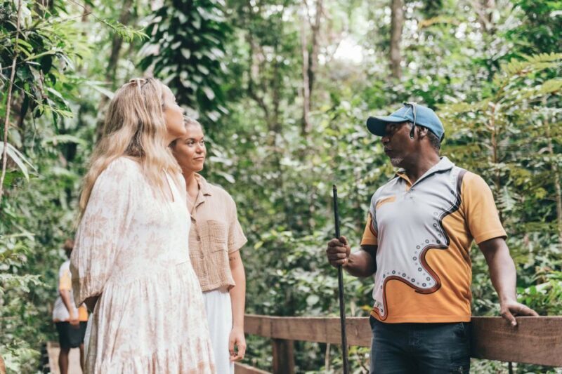 Port Douglas: Full Day Daintree Cultural Tour with Lunch - FAQ
