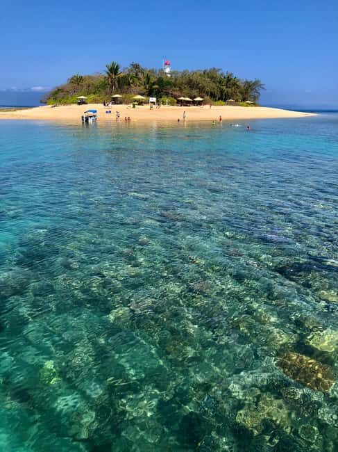 Port Douglas: Half-Day Low Island and Lagoon Snorkeling Tour - A Close Look at the Low Isles Snorkeling Tour