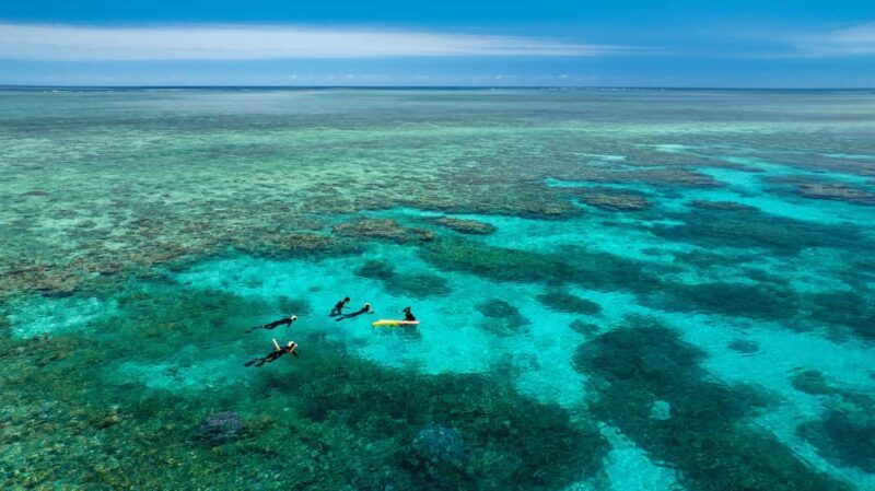 Port Douglas: Just 12 Passengers Guided Snorkel Reef Cruise - Starting the Day: Check-in and Departure