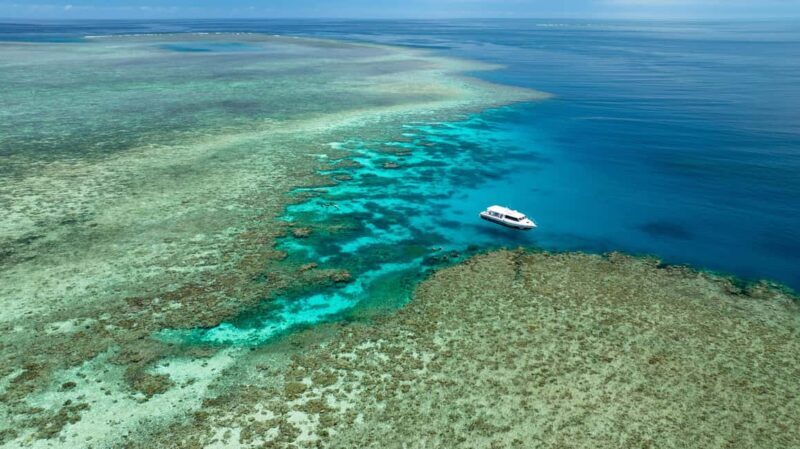 Port Douglas: Just 12 Passengers Guided Snorkel Reef Cruise - Reef Site 2: The Second Dive into Coral and Marine Life