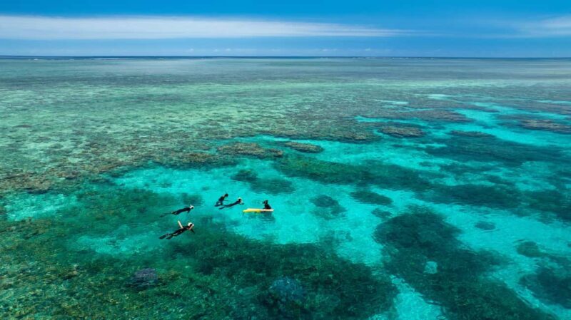 Port Douglas: Just 12 Passengers Guided Snorkel Reef Cruise - Returning to Port Douglas