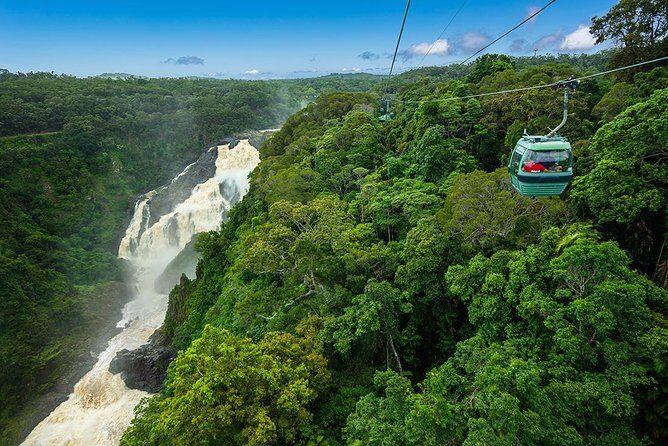 Port Douglas: Kuranda tour with Skyrail or Scenic Train - Value and Practical Aspects