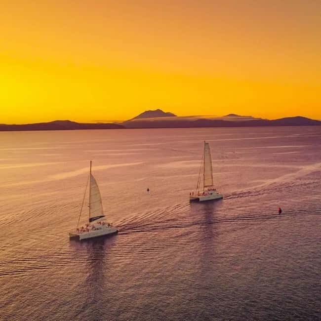 Port Douglas: Low Isles Afternoon Cruise on Luxury Catamaran - Sunset Sail Back to Port Douglas