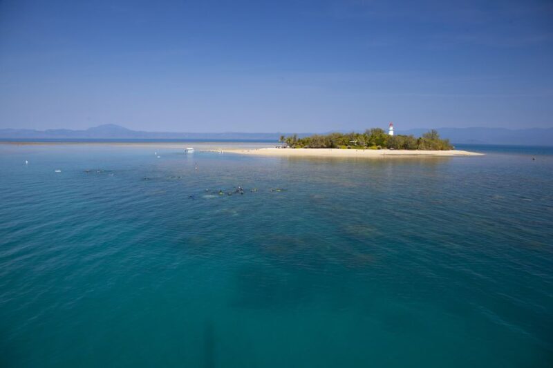 Port Douglas: Low Isles Glass Bottom Boat & Snorkeling Tour - An In-Depth Look at the Low Isles Tour