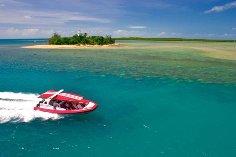 Port Douglas: Low Isles Reef Snorkeling Tour - The Value of the Tour
