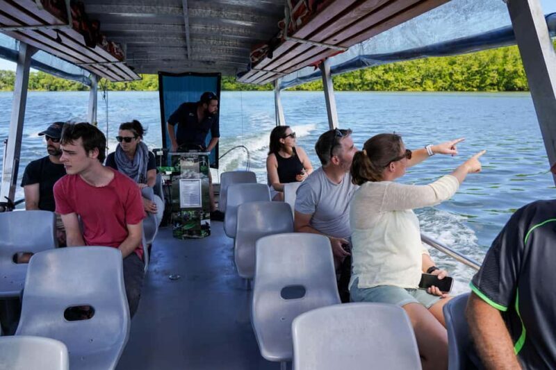 Port Douglas: Morning Daintree Tour w/ Wildlife Cruise - An In-Depth Look at the Daintree Morning Tour