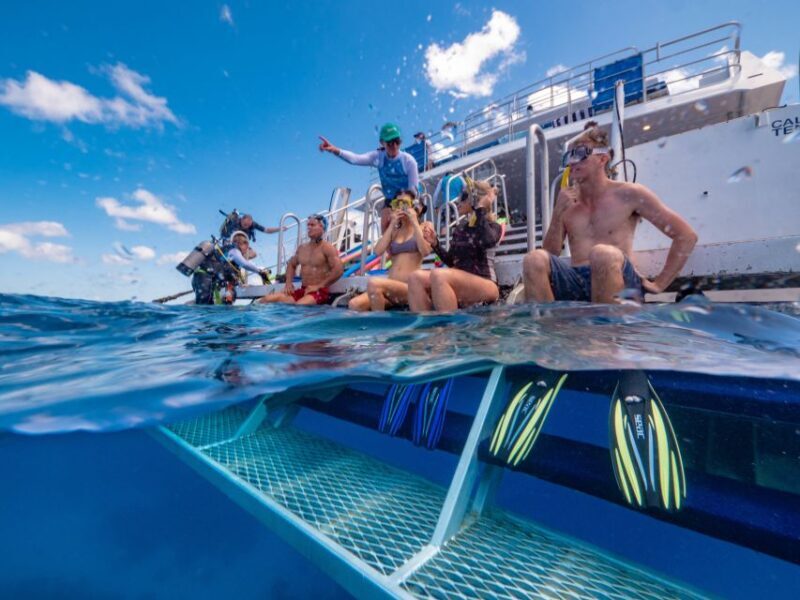 Port Douglas: Outer Barrier Reef Snorkel and Dive Options - An In-Depth Look at the Port Douglas Reef Tour