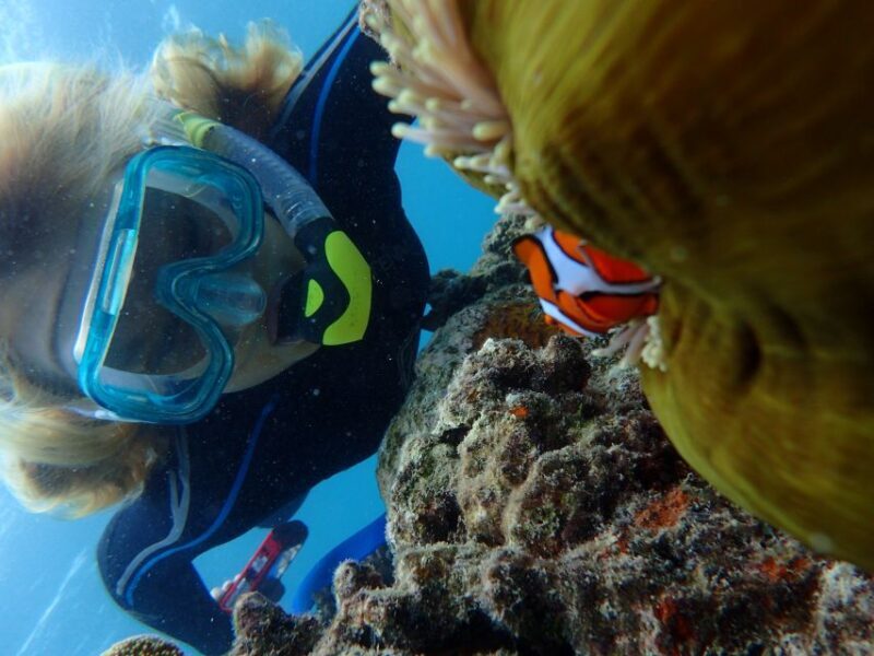 Port Douglas: Outer Great Barrier Reef Snorkeling Cruise - Final Thoughts: Who Will Benefit Most?