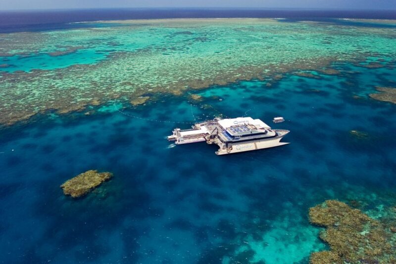 Port Douglas: Quicksilver Outer Barrier Reef Full-Day Cruise - Who Is This Tour Best Suited For?