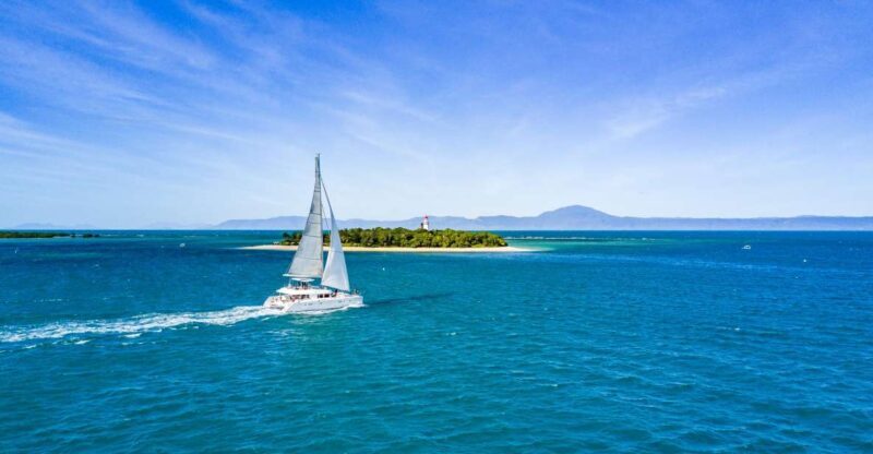 Port Douglas: Reef & Low Isles Cruise on Luxury Catamaran - Key Points