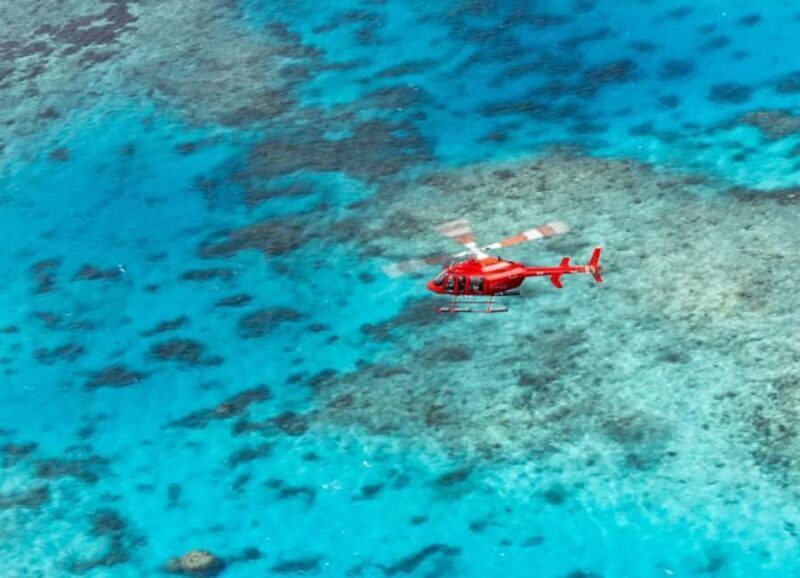 Port Douglas: Reef & Rain 60-Minute Helicopter Scenic Flight - The Sum Up