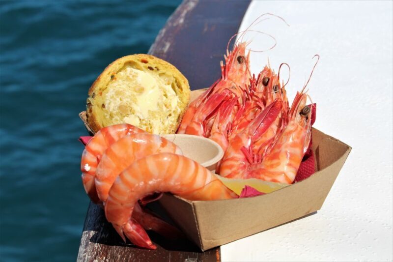 Port Douglas: Shaolin Seafood Lunch Sail, with Fresh Prawns - Who Should Consider This Experience?
