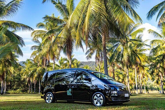 Port Douglas to Cairns ONE WAY Private Transfer 6 pax - Key Points