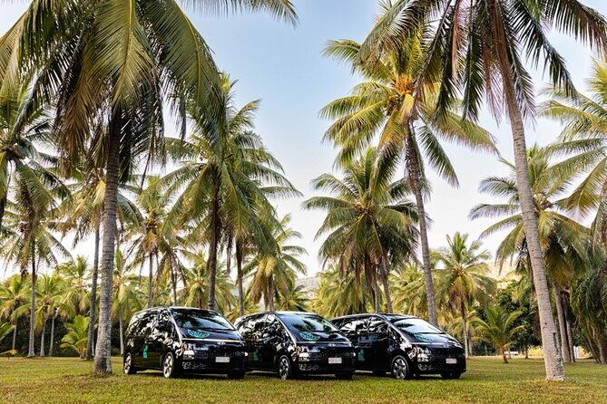 Port Douglas to Palm Cove ONE WAY Private Transfer 6 Pax - Port Douglas to Palm Cove ONE WAY Private Transfer 6 Pax: A Practical Review