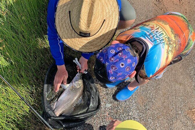 Port Douglas Tour Hook-A-Barra with Lunch - Final Thoughts: Why Consider Hook-A-Barra?