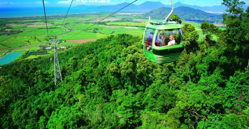 Port Douglas: World Heritage Forest by Skyrail & Scenic Rail - Port Douglas: World Heritage Forest by Skyrail & Scenic Rail — A Complete Guide