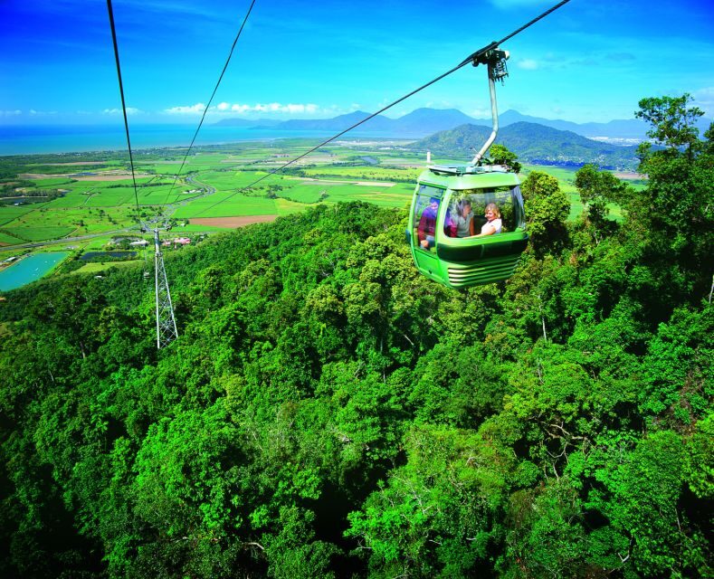 Port Douglas: World Heritage Forest by Skyrail & Scenic Rail - Practical Details and Considerations