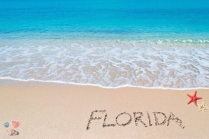 Port Everglades Private Transfer from Las Olas Beach Area - The Sum Up