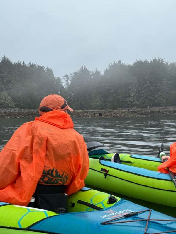 Port Hardy: Keogh River Bear/Wildlife Kayak Tour - An In-Depth Look at the Keogh River Bear/Wildlife Kayak Tour