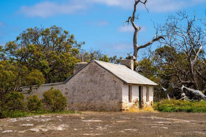 Port Lincoln Mikkira Station Wild Koala Safari Tour - The Sum Up