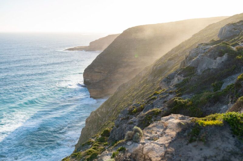Port Lincoln: Wildlife and Sightseeing Full-Day 4WD Tour - The Sum Up
