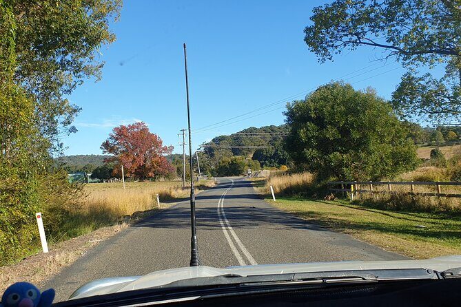 Port Macquarie Day Tour to Water Falls and Lookouts - An In-Depth Look at the Waterfalls and Lookouts Tour