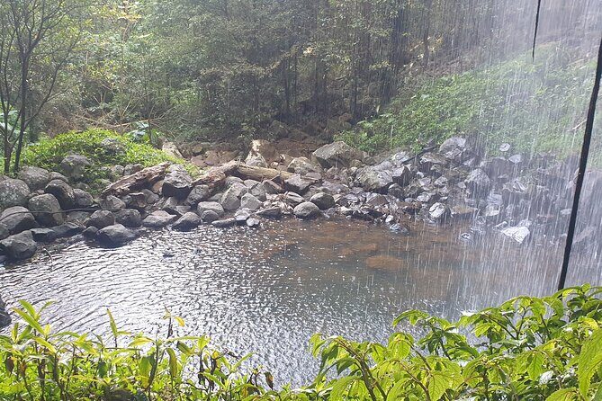Port Macquarie Day Tour to Water Falls and Lookouts - Frequently Asked Questions