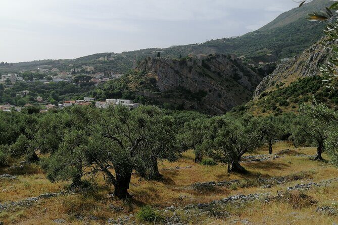 Port of Bar tour - Explore Adriatic area - Bar and Ulcinj tour - Exploring Montenegro’s Hidden Gems: The Port of Bar Tour