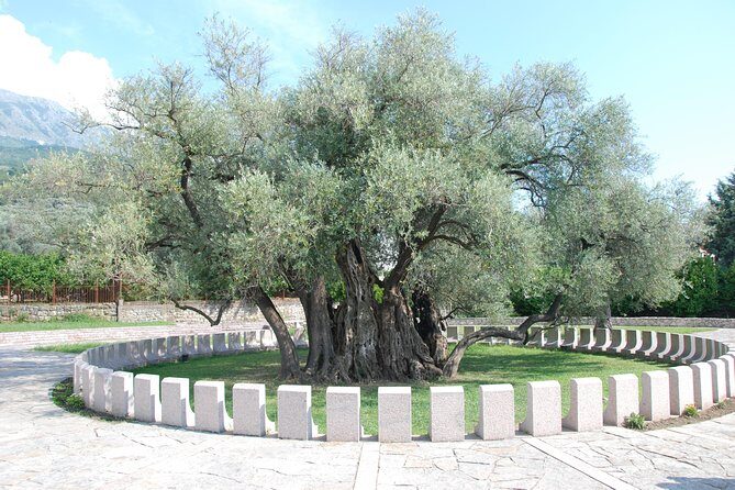 Port of Bar tour - Explore Adriatic area - Bar and Ulcinj tour - Final Thoughts: The Value of a Personal Guided Day Trip