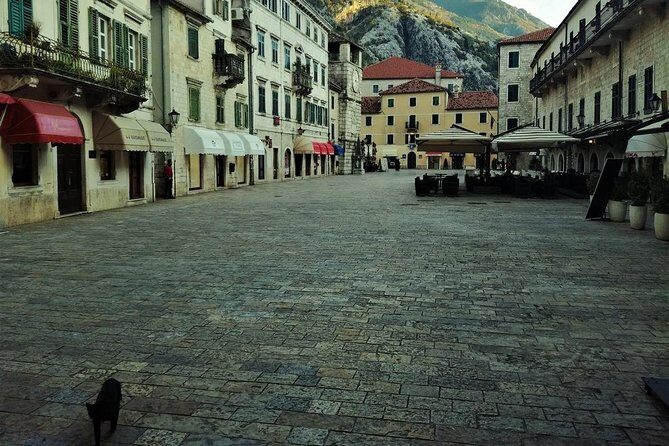 Port of Kotor tour - Kotor old town private walking tour - A Deep Dive into the Kotor Old Town Private Walking Tour