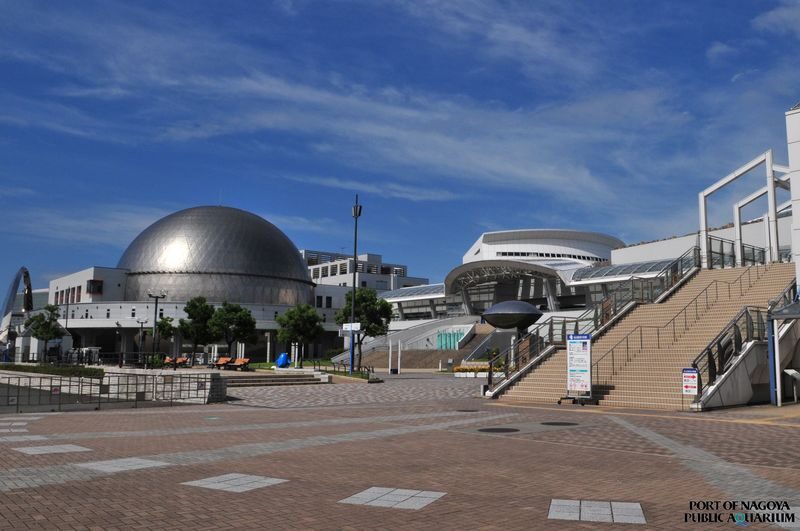 Port of Nagoya Public Aquarium Ticket - Start with the animals that make Nagoya different