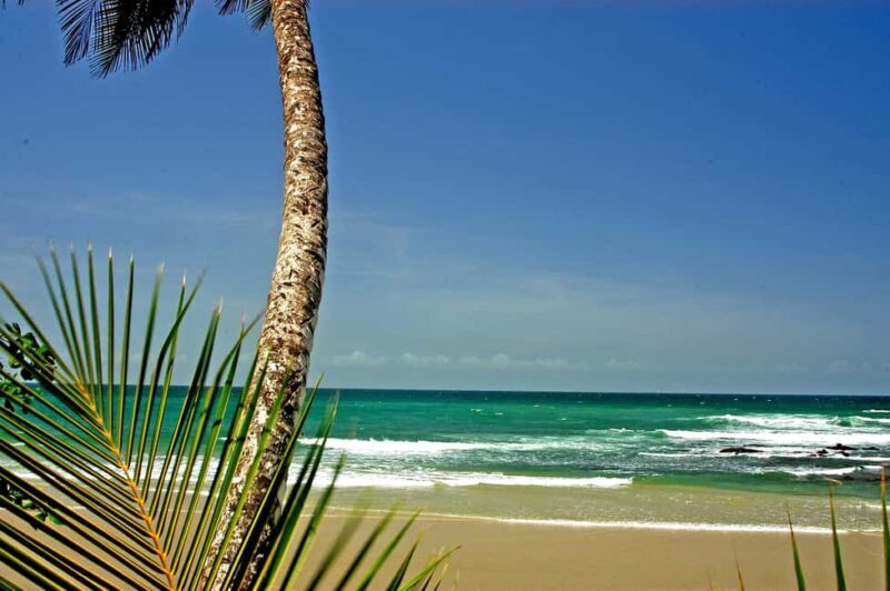 Port of Spain: Coastal Tour of Trinidad - What This Tour Means for You