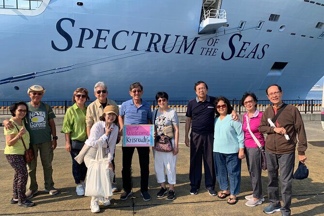 Port Pick-Up: Kagoshima Private Tour Licensed Guide  Vehicle - Who Should Consider This Tour?