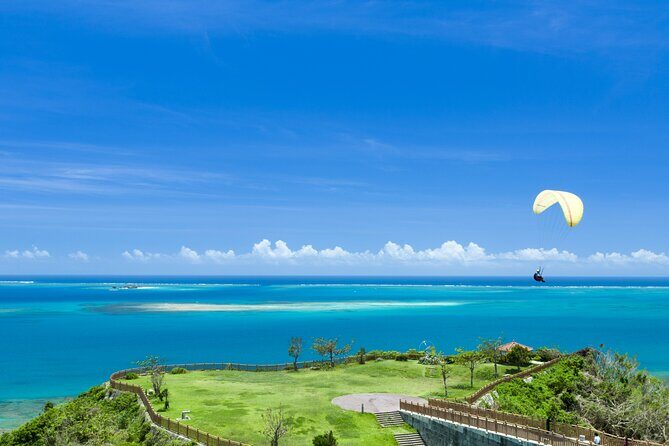 Port Pick-Up: Naha Private Tour Licensed Guide Vehicle - A Close Look at the Experience