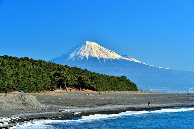 Port Pick-Up: Shizuoka Tour with Licensed Guide and Vehicle - Key Points