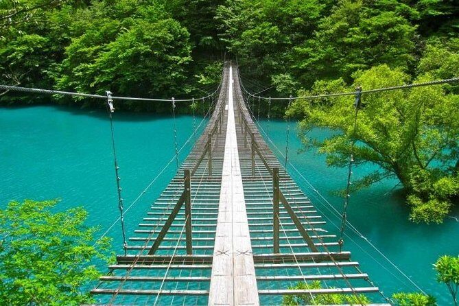 Port Pick-Up: Shizuoka Tour with Licensed Guide and Vehicle - Final Thoughts: Is It Worth It?