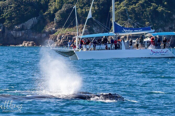 Port Stephens 3 Hour Whale and Dolphin Watch Cruise - Practical Tips for a Great Trip