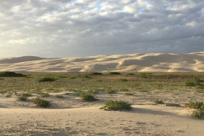 Port Stephens, Beach and Sand Dune 4WD Passenger Tour - FAQ