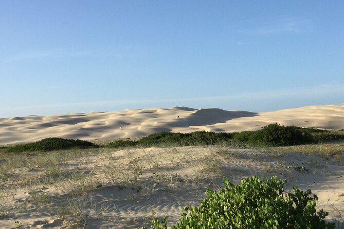 Port Stephens, Beach and Sand Dune 4WD Tag-Along Tour - Wrapping Up