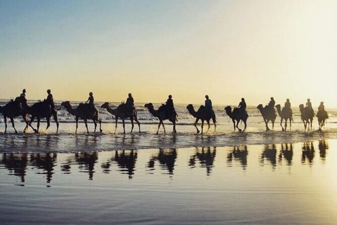 Port Stephens Day Trip from Sydney - Who Would Love This Tour?