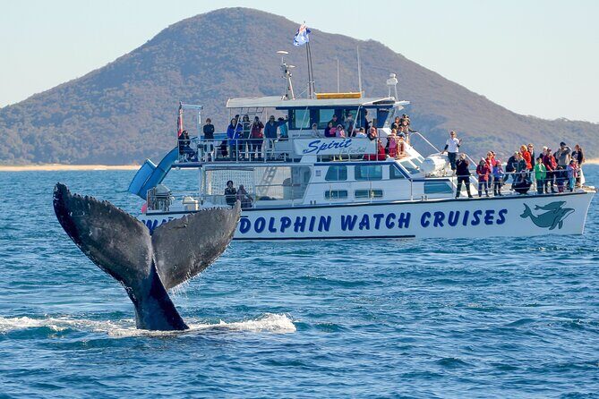 Port Stephens, departing Newcastle - Whales, hike & sand dunes! - Starting with a scenic drive from Newcastle