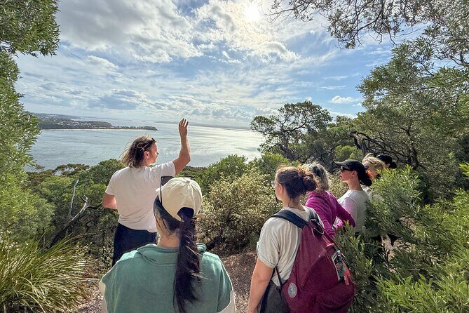 Port Stephens, departing Newcastle - Whales, hike & sand dunes! - The highlight: Mount Tomaree summit hike