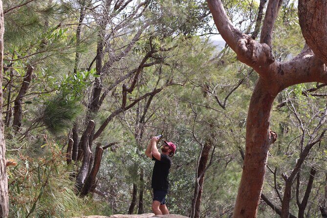 Port Stephens, departing Newcastle - Whales, hike & sand dunes! - Who will love this tour?
