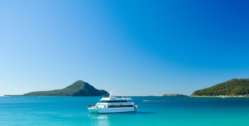 Port Stephens: Dolphin Watching Cruise - Final Thoughts: Is It Worth It?
