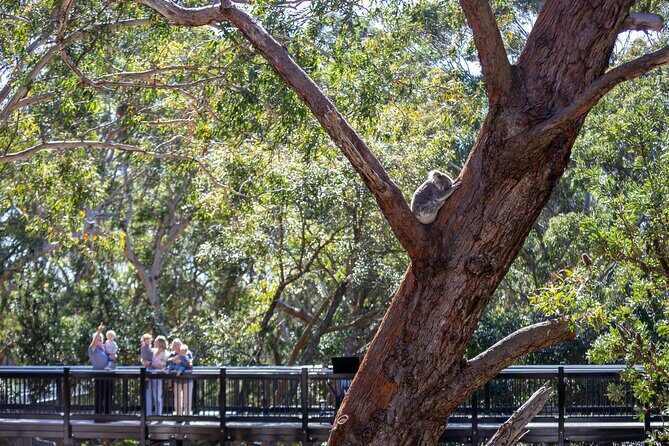 Port Stephens Experience: Incredible Adventure, Wild by Nature - Final Thoughts