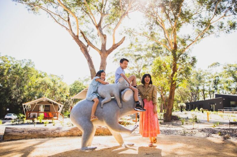 Port Stephens: Koala Sanctuary General Admission Ticket - Visiting Port Stephens Koala Sanctuary: A Genuine Australian Animal Encounter
