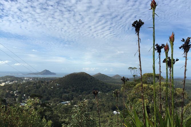 Port Stephens Private Tour From Sydney, with Dolphin/ Whale Cruise Options - Who Will Love This Tour?